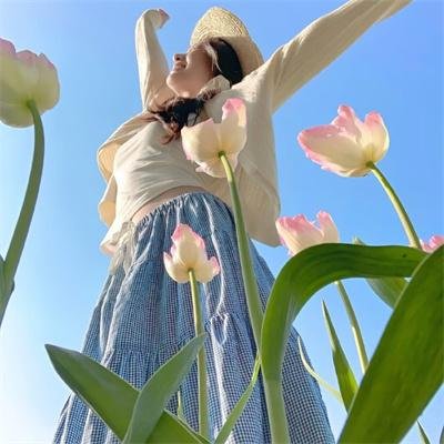 外科医生马丁 第五季
